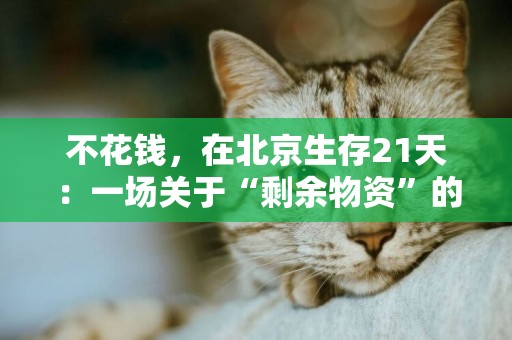 不花錢，在北京生存21天：一場關于“剩余物資”的行為實驗 