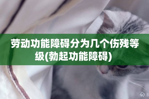 勞動功能障礙分為幾個傷殘等級(勃起功能障礙) 