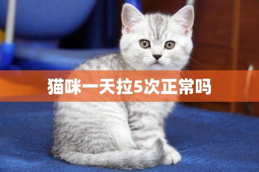 貓咪一天拉5次正常嗎
