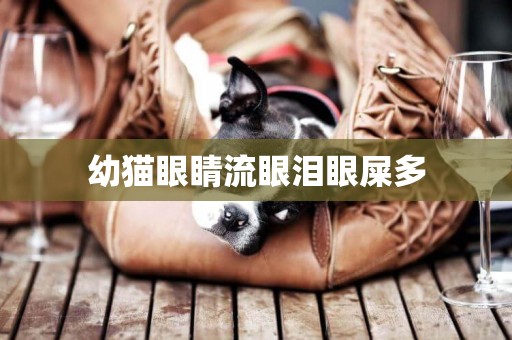 幼貓眼睛流眼淚眼屎多