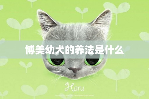 博美幼犬的養法是什么