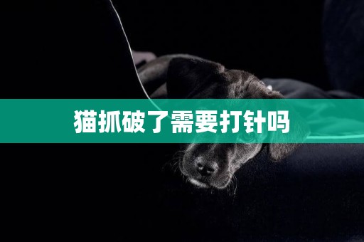 貓抓破了需要打針嗎
