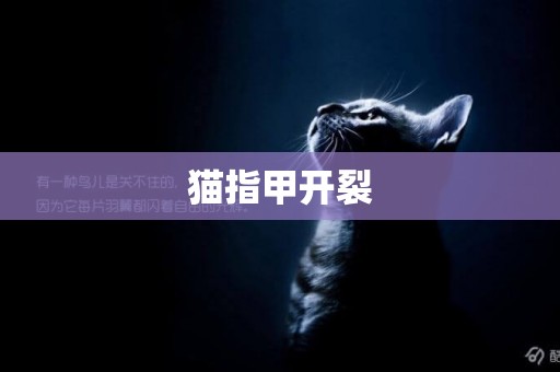 貓指甲開裂