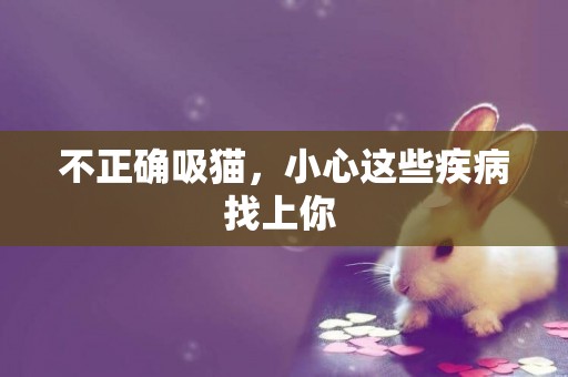 不正確吸貓，小心這些疾病找上你 