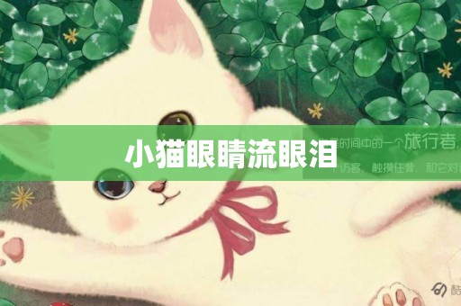 小貓眼睛流眼淚
