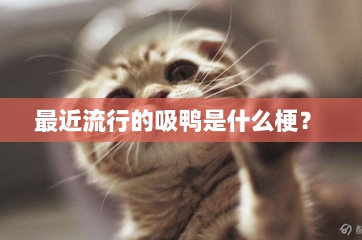 最近流行的吸鴨是什么梗？ 