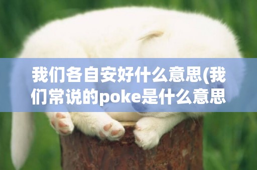 我們各自安好什么意思(我們常說的poke是什么意思) 