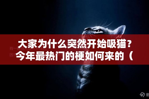 大家為什么突然開始吸貓？今年最熱門的梗如何來的（含獨家福利圖） 