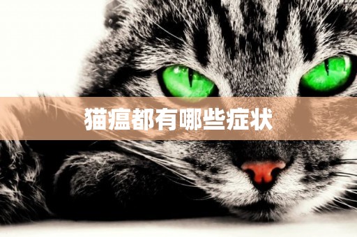 貓瘟都有哪些癥狀