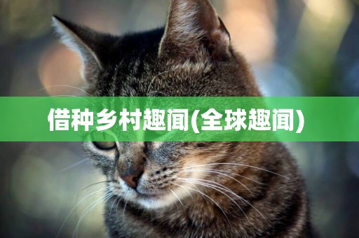借種鄉村趣聞(全球趣聞) 
