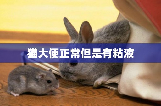 貓大便正常但是有粘液