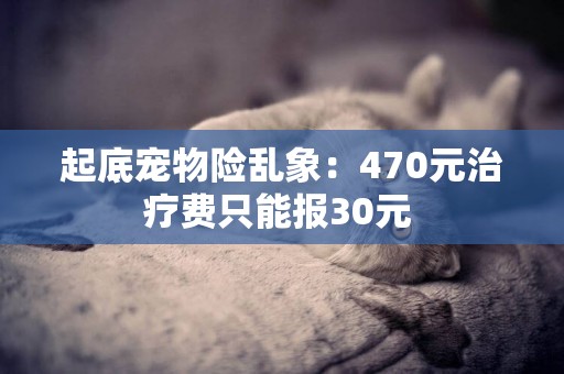 起底寵物險亂象：470元治療費只能報30元 