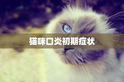 貓咪口炎初期癥狀