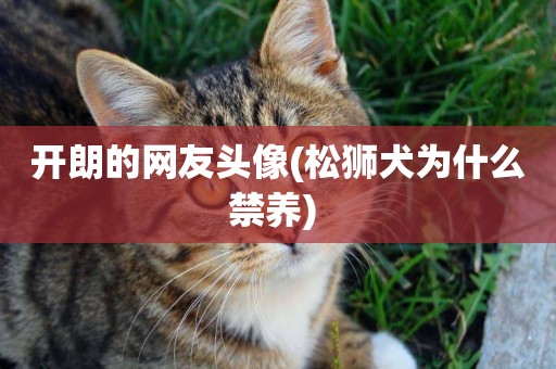 開朗的網友頭像(松獅犬為什么禁養) 