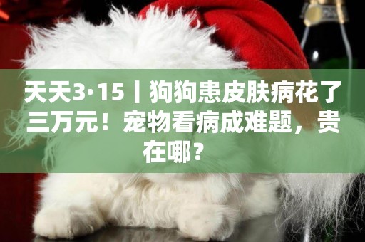 天天3·15丨狗狗患皮膚病花了三萬元！寵物看病成難題，貴在哪？ 