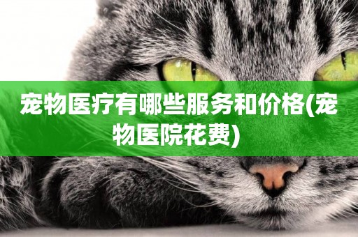 寵物醫療有哪些服務和價格(寵物醫院花費) 