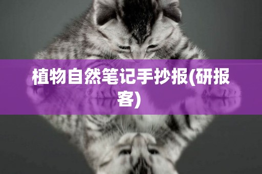 植物自然筆記手抄報(研報客) 