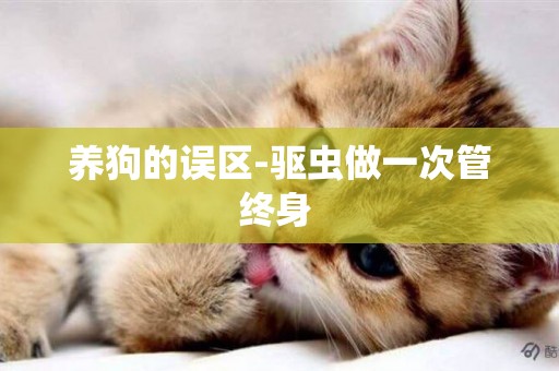 養狗的誤區-驅蟲做一次管終身 