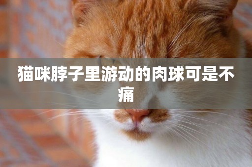 貓咪脖子里游動的肉球可是不痛