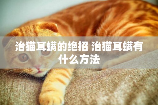 治貓耳螨的絕招 治貓耳螨有什么方法