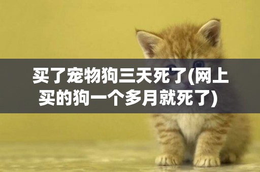 買了寵物狗三天死了(網上買的狗一個多月就死了) 