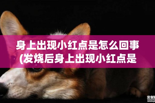 身上出現小紅點是怎么回事(發燒后身上出現小紅點是怎么回事) 