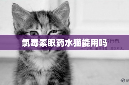 氯毒素眼藥水貓能用嗎