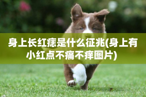 身上長紅痣是什么征兆(身上有小紅點不痛不癢圖片) 