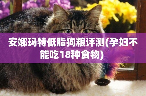 安娜瑪特低脂狗糧評測(孕婦不能吃18種食物) 
