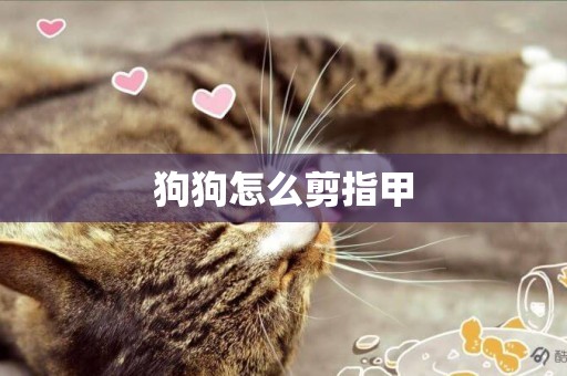 狗狗怎么剪指甲