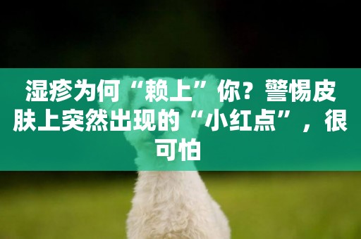 濕疹為何“賴上”你？警惕皮膚上突然出現的“小紅點”，很可怕 