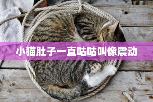 小貓肚子一直咕咕叫像震動