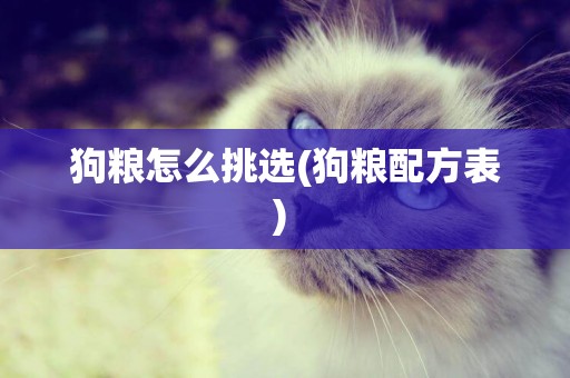 狗糧怎么挑選(狗糧配方表) 