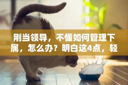 剛當領導，不懂如何管理下屬，怎么辦？明白這4點，輕松管人管事 