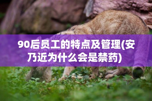 90后員工的特點及管理(安乃近為什么會是禁藥) 