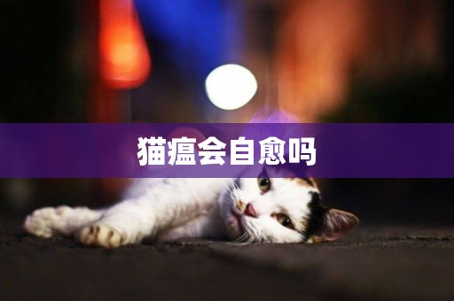 貓瘟會自愈嗎