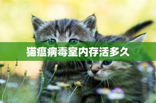 貓瘟病毒室內存活多久