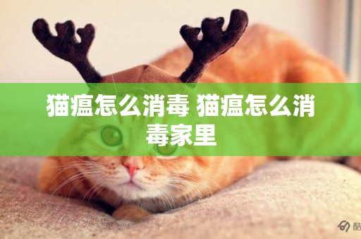 貓瘟怎么消毒 貓瘟怎么消毒家里