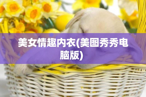 美女情趣內衣(美圖秀秀電腦版) 