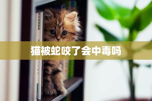 貓被蛇咬了會中毒嗎