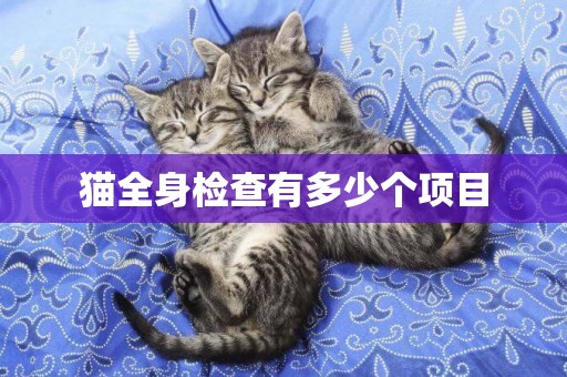 貓全身檢查有多少個項目