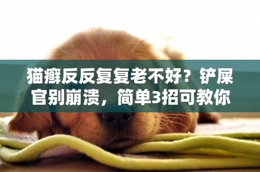 貓癬反反復復老不好？鏟屎官別崩潰，簡單3招可教你永久搞定貓癬 