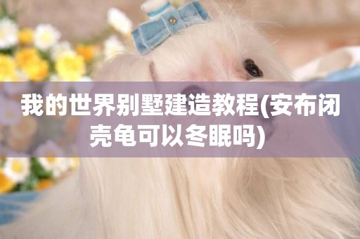 我的世界別墅建造教程(安布閉殼龜可以冬眠嗎) 