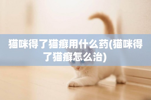貓咪得了貓癬用什么藥(貓咪得了貓癬怎么治) 