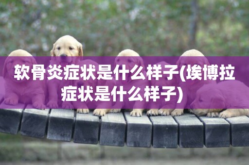 軟骨炎癥狀是什么樣子(埃博拉癥狀是什么樣子) 