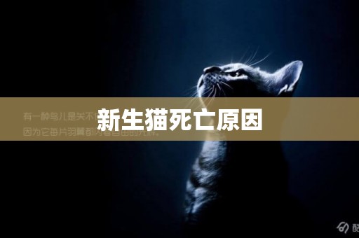 新生貓死亡原因