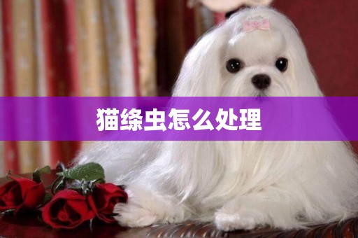 貓絳蟲怎么處理