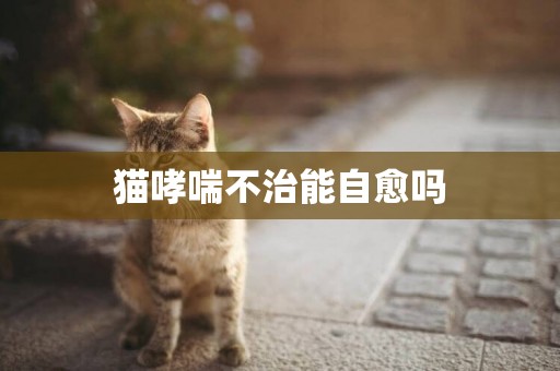 貓哮喘不治能自愈嗎