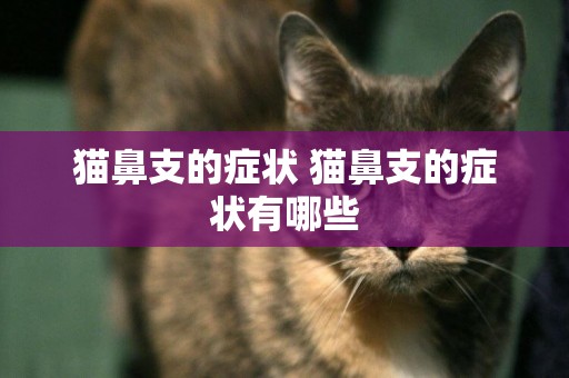 貓鼻支的癥狀 貓鼻支的癥狀有哪些