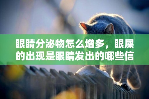 眼睛分泌物怎么增多，眼屎的出現是眼睛發出的哪些信號呢？ 